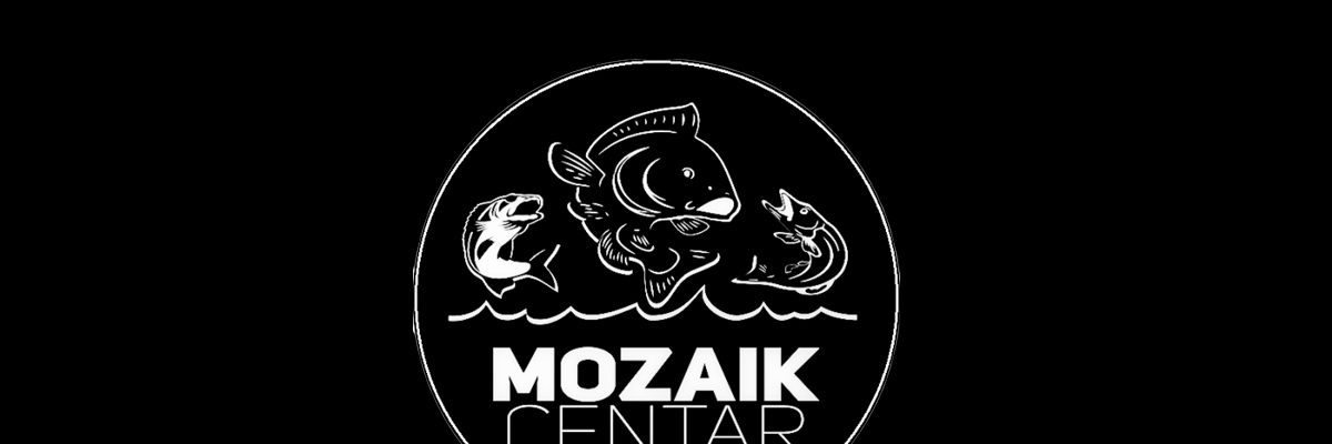 Mozaik Centar